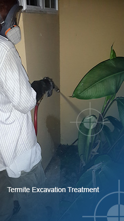 termite excavation treatment jamaica